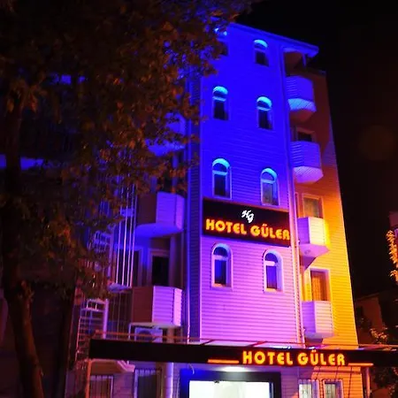 Guler Hotel *