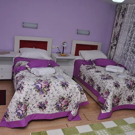 Hotel Guler