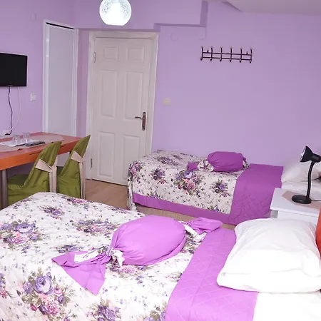 Guler Hotel