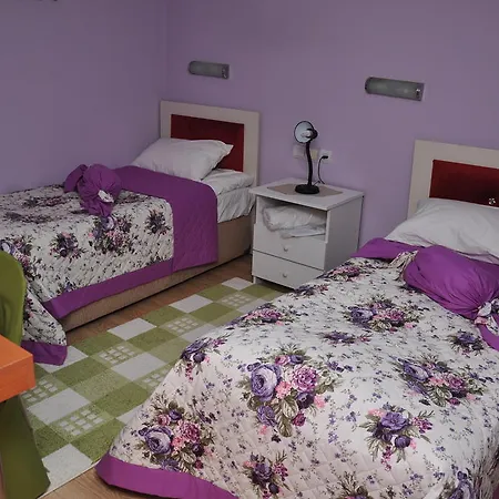 Hotel Guler *