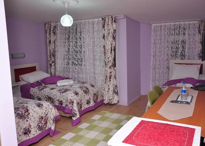 מלון Guler בורסה